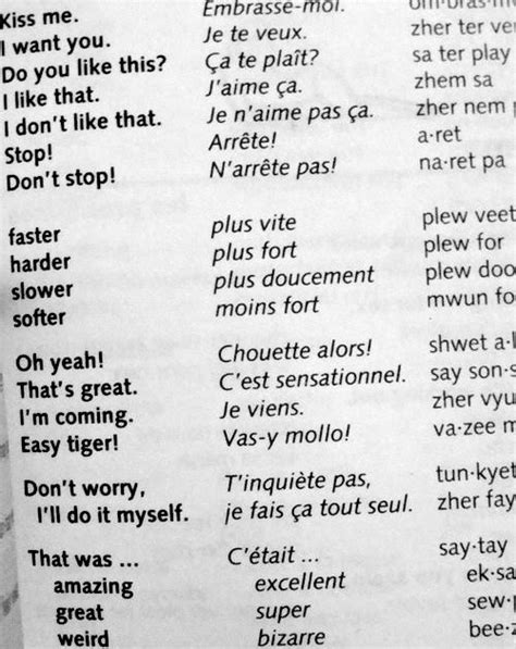 naughty in french translation|NAUGHTY .